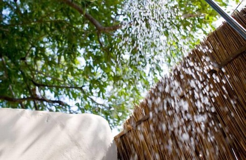 South Luangwa National Park Other | Flatdogs Camp