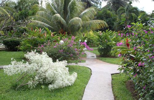 Deshaies House | Fleurs des Iles