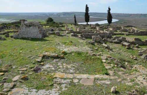 Larache House | Fluture