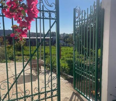 Larache House | Fluture