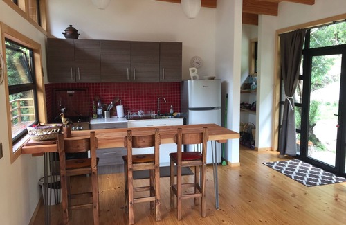 Llifen Cabin | Fly-fish, Swim, Hike Or Relax In This Newly Built Cabin In Northern Patagonia