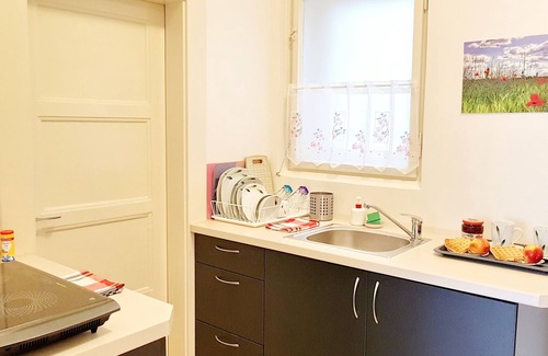 Vysehrad Apartment | Folimanka2154z- big apartment in historical Center