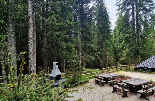 Goreljek Apartment | Forest Apartments Pokljuka