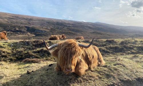 Inverfarigaig Bed & Breakfast | Foresters Lodge bed and breakfast, near loch ness