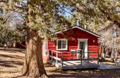 Sugarloaf House | Forest’s Edge - a place for nature lovers