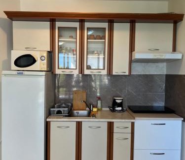 Elenite Apartment | Fort Noks PRIVILEGE Apartment