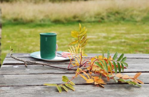 Djupivogur House | Fossardalur Guesthouse