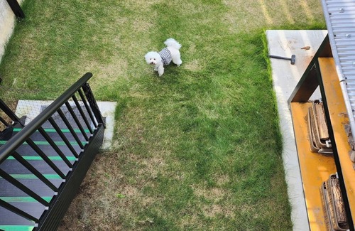 Shikokuchuo RV Rental | Four small and mediumsized dogs allowed Trailer/Shikokuchuo City Ehime