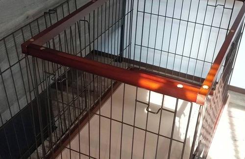 Shikokuchuo RV Rental | Four small and mediumsized dogs allowed Trailer/Shikokuchuo City Ehime