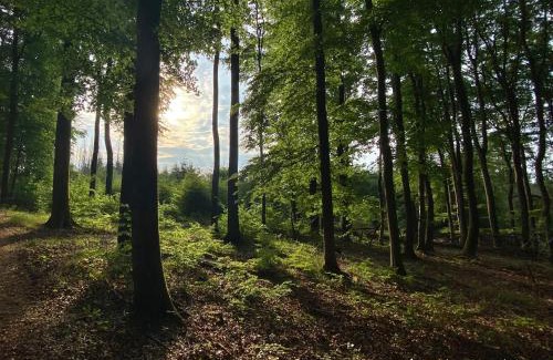 Bad Endbach House | Frühstückspension Zur Krone