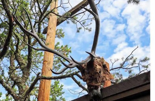 Nogal House | Freya Geo Dome Suite at El Mistico Ranch