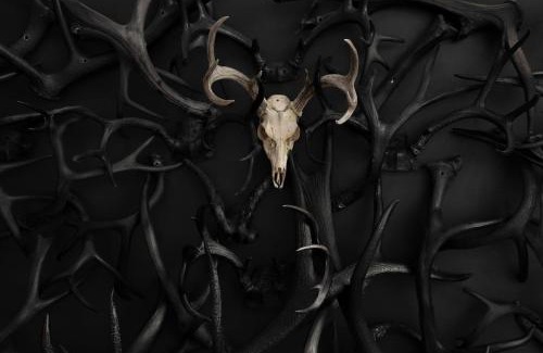 Nogal House | Freya Geo Dome Suite At El Mistico Ranch