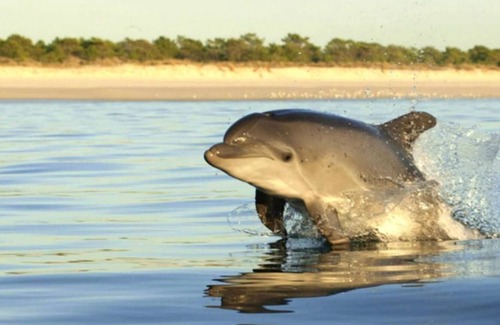 Comporta House | Friendly Comporta House,great Location, Near Village and Beach