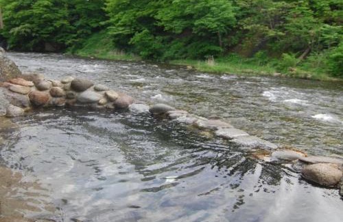 Hanamaki Hotel | Fujisan Ryokan