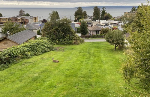 Powell River House | Full house