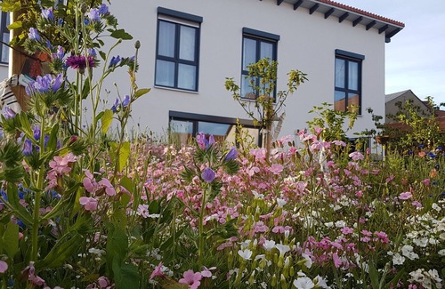 Bad Urach Apartment | GästezimmerFreiRaum 1, mit Dusche/WC, Sitzecke