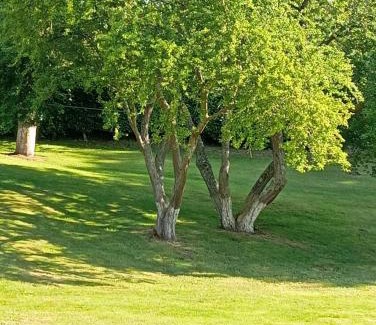 Quesnoy-le-Montant House | Gîte Au Bord de la Baie de Somme