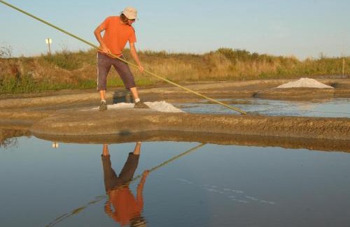 Saint-Malo-de-Guersac House | Gîte Authentique en Plein Cœur du Parc de la Brière, Proche Marais, Terrasse Sud, Tout Équipé - FR-1-306-1001