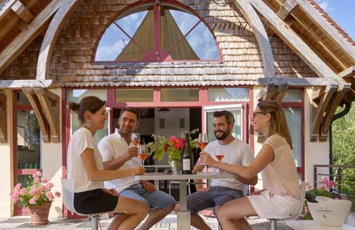 Bar-sur-Seine House | Gîte Bar-sur-Seine, 7 pièces, 26 personnes - FR-1-543-134