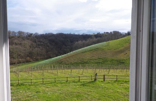Lucq-de-Bearn Cottage | Gîte Castagnet