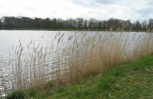 Douadic House | Gîte Communauté de communes Brenne - Val de Creuse-Douadic, 3 pièces, 5 personnes - FR-1-591-38