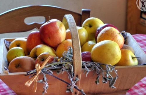 Fontanes House | Gîte confortable 4 épis à Fontanès, 5 pers, Animaux admis - FR-1-496-102