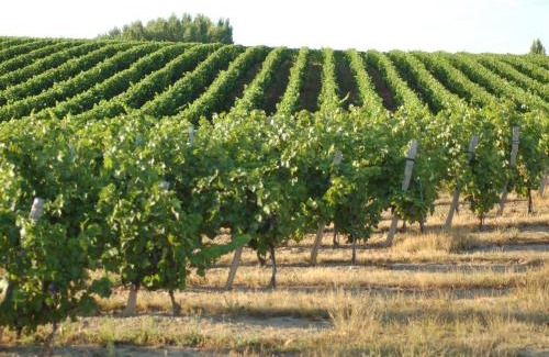 Vertou House | Gîte cosy à Vertou, près de Nantes, avec Wi-Fi et espace extérieur - FR-1-306-1217