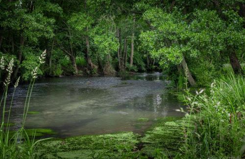 Morville-sur-Andelle House | Gîte de l'Ecrin de l'Andelle - Un écrin de nature entre rivière et forêt