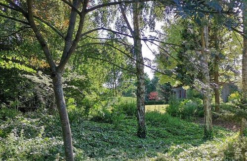 Sommery House | Gîte de Vallonchêne