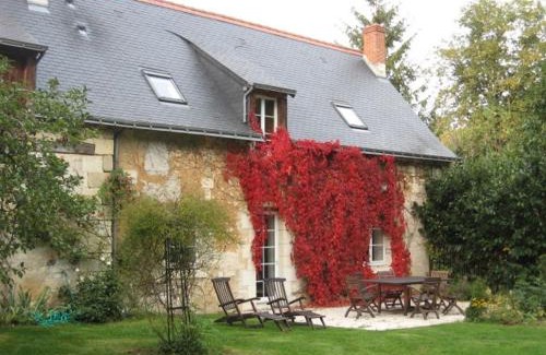 Saint-Benoit-la-Foret House | Gîte enchanteur 4 km de Chinon avec jardin privé, cheminée, salle de jeux et équipements bébé inclus - FR-1-381-188