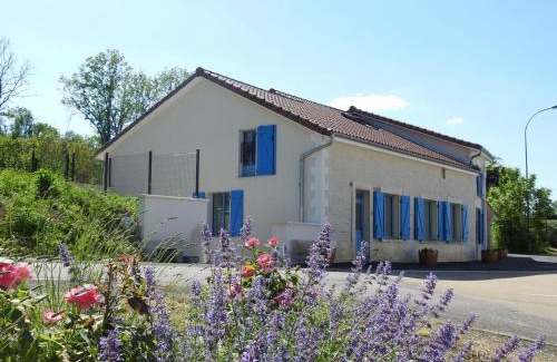 Colombey-les-deux-Eglises House | Gîte indépendant avec SPA, jardin, terrain de pétanque, proche vignoble du Champagne à Colombey - FR-1-611-45