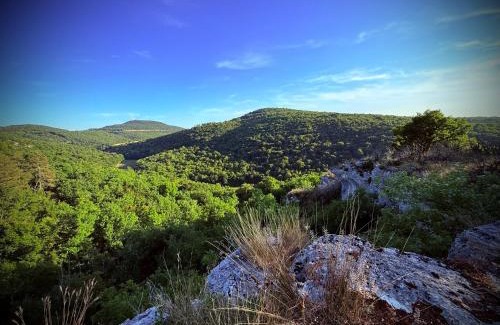 Sainte-Marie-sur-Ouche House | Gîte La petite Reine de l Ouche