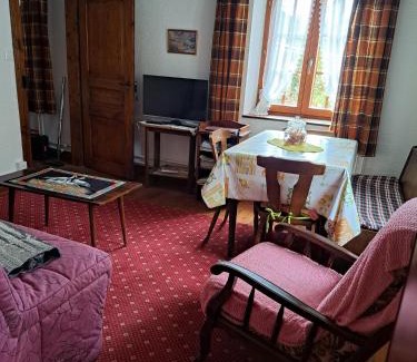 Sainte-Marie-aux-Mines Apartment | Gîte Les Hirondelles F2