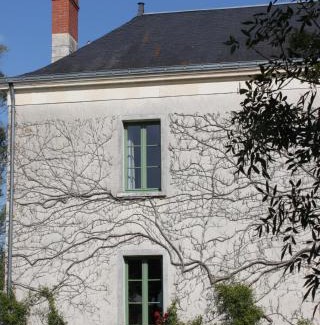 Chartrene House | Gîte Moulin d'Olivet