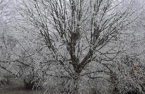 Notre-Dame-de-Boisset House | Gîte rustique avec wifi, animaux acceptés - FR-1-496-113