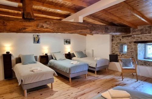 Saint-Denis-sur-Coise House | Gîte spacieux 10 pers, Monts du Lyonnais, spa et jardin - FR-1-496-358