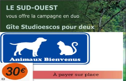 Escos House | Gîte Studioescos El Uno