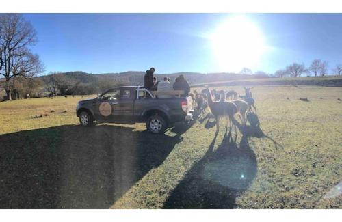 Gages Apartment | Gîtes 3 🌟 unusual in ANIMAL PARK in Aveyron