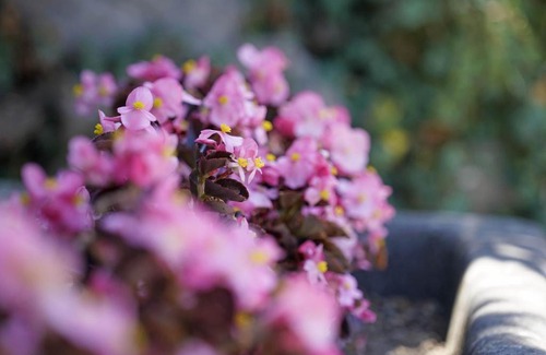 Soumagne House | Gîtes Chez Oncle Nicolas