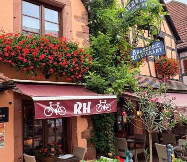 Kaysersberg-Vignoble House | Gîtes Hassenforder