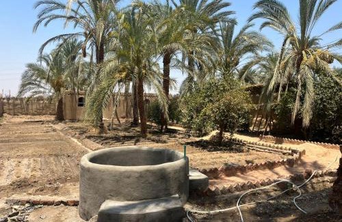 Luxor Other | Gamandy Eco-Lodge