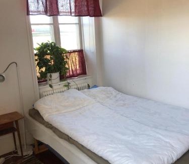 Stanga House | Gangvidefarm