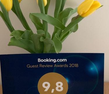 City Centre Apartment | Garden Apartment