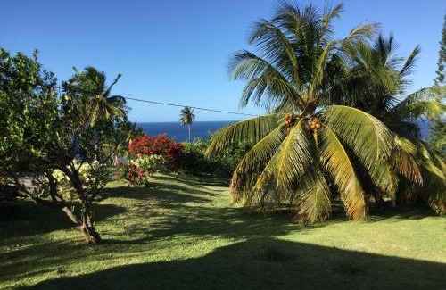 St. Patrick House | Garden Bungalow