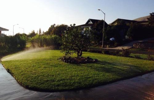 Kamuela Apartment | Garden Oasis at Banana Hale Studio