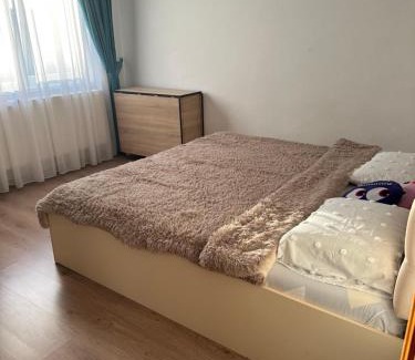 Falticeni Apartment | Garsonieră