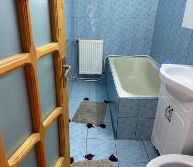 Falticeni Apartment | Garsonieră