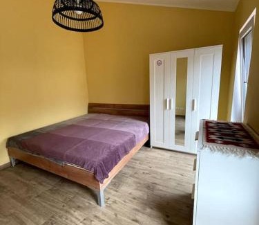 Mittelfeld Apartment | Gasthaus Papusik am Messegelände