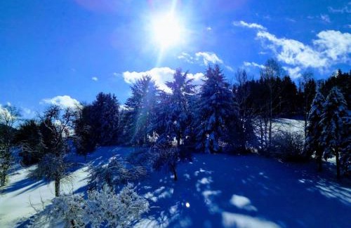 Maibrunn Hotel | Gasthof-Hotel Dilger