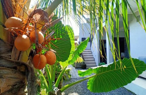 Batuan House | Gelombang House